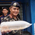 Prabowo Akan Bentuk Satgas Pemberantasan Penyelundupan Benih Lobster