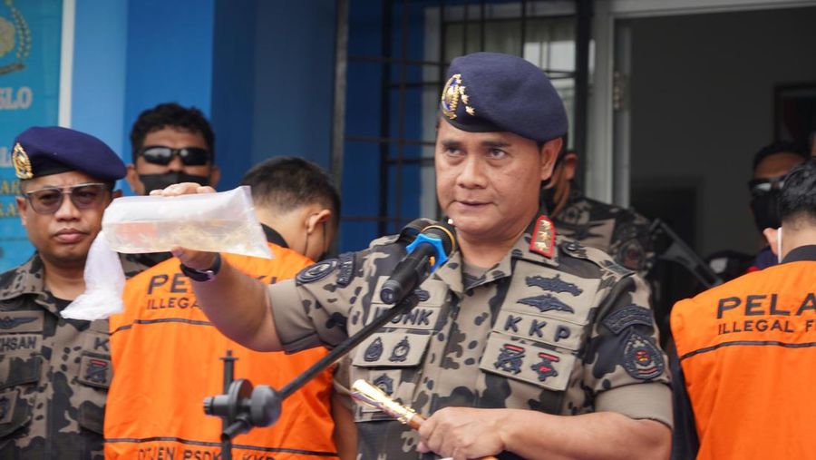 Kementerian Kelautan dan Perikanan (KKP) berhasil mengagalkan pendistribusian sebanyak 52 ribu benih bening lobster (BBL) ilegal yang disinyalir akan diselundupkan ke luar negeri, di Provinsi Lampung. (Dok. Humas Ditjen PSDKP)