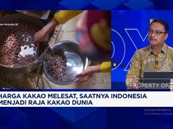 Video: Pak Prabowo, Petani Kakao Butuh Pupuk Hingga Penyuluh Pertanian