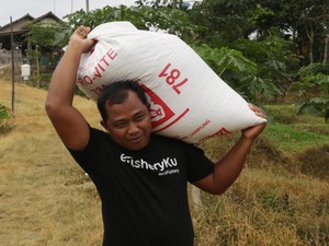 Secercah Harapan Petambak Ikan di Lampung, Lebih Cuan Dibantu Teknologi