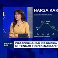 Video: Sebab Petani RI Tak Bisa Maksimalkan Cuan Kenaikan Harga Kakao