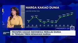 Video: Sebab Petani RI Tak Bisa Maksimalkan Cuan Kenaikan Harga Kakao