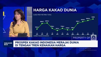 Video: Sebab Petani RI Tak Bisa Maksimalkan Cuan Kenaikan Harga Kakao