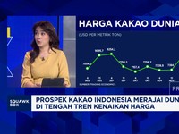 Video: Sebab Petani RI Tak Bisa Maksimalkan Cuan Kenaikan Harga Kakao