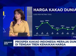 Video: Sebab Petani RI Tak Bisa Maksimalkan Cuan Kenaikan Harga Kakao