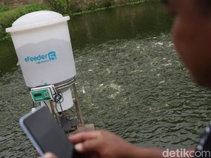 Dana Pensiun Malaysia Investasi Rp 875 M di eFishery Berujung Penipuan