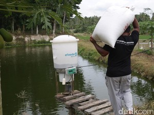 Eks CEO eFishery Gibran Huzaifah Ditangkap, Ini Kasus yang Menjeratnya