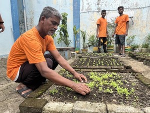 Melihat Aktivitas Deteni di Rudenim Medan, Hilangkan Stres Lewat Berkebun-Masak