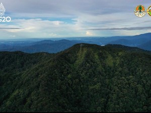 TNKS Ditutup Sementara Antisipasi Karhutla, Termasuk Gunung Kerinci