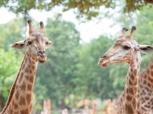 Libur Akhir Tahun Makin Seru, Ini 4 Destinasi Wisata Family Fun di Jabar