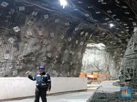 Freeport Siapkan Capex US$ 500 Juta untuk Tambang 'Kucing Liar'