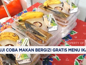  Potret Uji Coba Makan Bergizi Gratis Menu Ikan