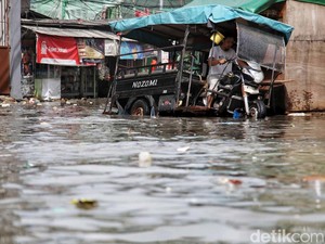 Banjir Rob Masih Rendam 6 RT di Jakut Sabtu Siang Ini