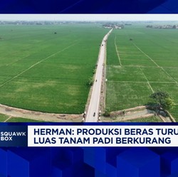 Video: Hadapi Masalah Keuangan, PR BUMN Pangan Wujudkan Swasembada
