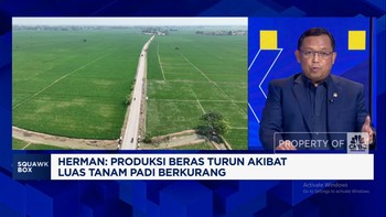 Video: Hadapi Masalah Keuangan, PR BUMN Pangan Wujudkan Swasembada