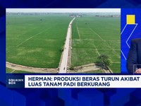 Video: Hadapi Masalah Keuangan, PR BUMN Pangan Wujudkan Swasembada