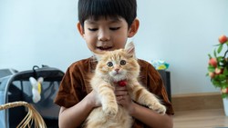 8 Manfaat Memelihara Kucing di Rumah, Bikin Hidup Lebih Bahagia!