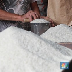 Aneh! Harga Gabah Petani Turun, Beras Malah Naik Lampaui Tahun 2024