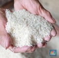 Beras & Mobil Listrik Bikin Setoran Bea Masuk RI Turun, Ini Alasannya!