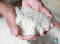 Tok! RI Tak Impor Beras, Gula, Garam, Jagung di 2025