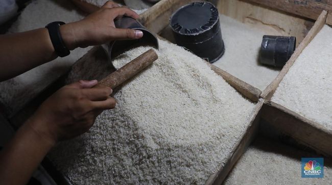 Produksi Beras Awal Tahun Diperkirakan Tembus 13,95 Juta Ton