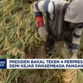 Video: Prabowo Bakal Teken 4 Perpres Demi Target Swasembada Pangan