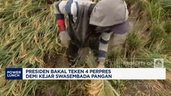 Video: Prabowo Bakal Teken 4 Perpres Demi Target Swasembada Pangan