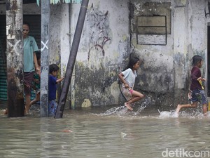 Banjir Rob Masih Rendam 2 RT dan 1 Jalan di Jakut Sore Ini