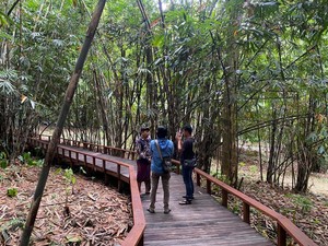 Keliling Hutan Bambu Penglipuran, Kini Makin Asyik dengan Jembatan Kayu