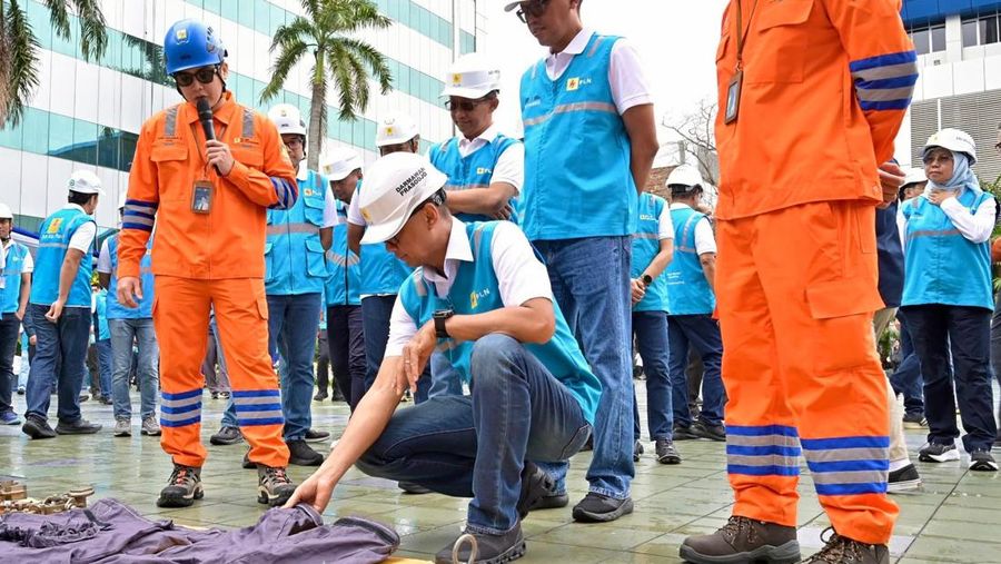 Dok PLN