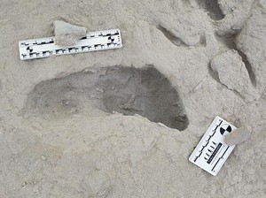 Ada Jejak Kaki Hominin di Dekat Danau, Bukti Manusia Purba Hidup Berdampingan