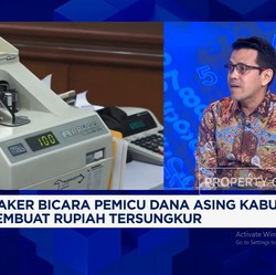 Video: Investasi Pilihan Market Maker Saat Trump Bikin Pasar 