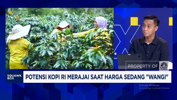 Video: Masih Tergantung Tengkulak, Bukti Petani Kopi Belum Sejahtera!