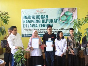 Relawan Alap-alap Jokowi Gagas Kampung Alpukat di Jateng