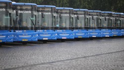 Viral Bus Listrik Terjebak di Perlintasan Kereta, Ini Penjelasan TransJakarta