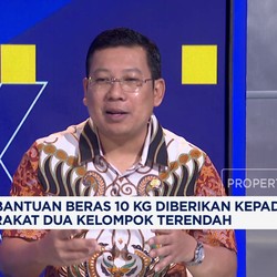 Video: Bapanas Sebut Tahun 2025 Tidak Ada Impor Beras