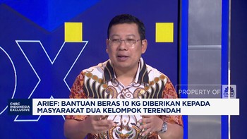 Video: Bapanas Sebut Tahun 2025 Tidak Ada Impor Beras