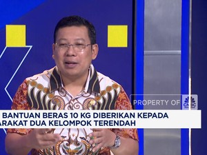 Video: Bapanas Sebut Tahun 2025 Tidak Ada Impor Beras