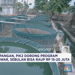 Dukung Ketahanan Pangan, PIK2 Dorong Program Budidaya Ikan Air Tawar