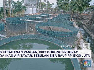 Dukung Ketahanan Pangan, PIK2 Dorong Program Budidaya Ikan Air Tawar