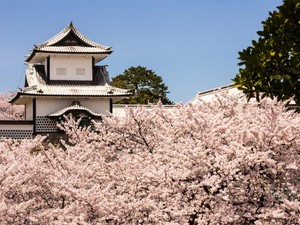 Top! Kanazawa Masuk Posisi Atas Destinasi Wisata Dunia