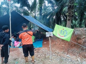 Warga Luwu Timur Nginap di Kebun Sawit Buntut Sengketa Lahan dengan PTPN