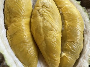 5 Makanan dan Minuman yang Bahaya Jika Dimakan Bareng Durian