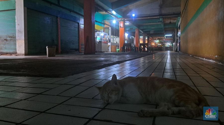 Suasana sepi lapak pedagang di Pasar Slipi, Jakarta, Selasa (17/12/2024). (CNBC Indonesia/Faisal Rahman)