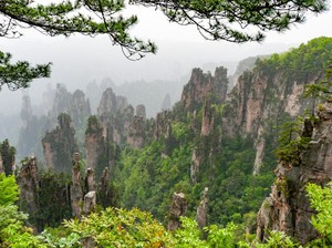 Buset, Puluhan Ton Sampah Dikeruk dari Gua Hutan Avatar