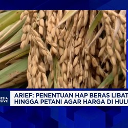 Video: Bapanas Blak-blakan Harga Beras Hingga Upaya Jaga Stok Pangan