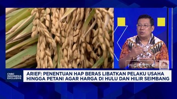 Video: Bapanas Blak-blakan Harga Beras Hingga Upaya Jaga Stok Pangan