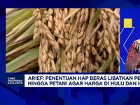 Video: Bapanas Blak-blakan Harga Beras Hingga Upaya Jaga Stok Pangan
