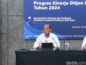 Produksi Budi Daya Ikan-Rumput Laut 2024 Tembus 16 Juta Ton, Sumbang PNBP Rp 80,38 M