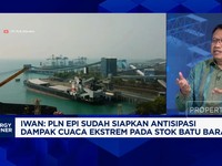 Video: Ganti Batu Bara, PLN EPI Siapkan 10 Juta Ton Biomassa Bagi PLTU